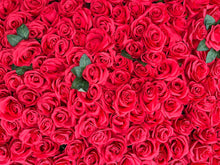 Load image into Gallery viewer, US Seller! Ruby Rose Flower Wall 3-D Red Artificial Flower Panel Home Shop Party Wall Decor Photo Wedding Backdrop Arrangement