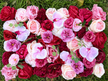 Load image into Gallery viewer, US Seller! Fuschia Orchids Flower Wall Panel 3D Home Shop Wedding Party Holiday Wall Decor Photo Backdrop