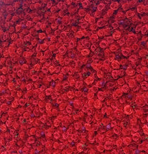 Load image into Gallery viewer, Red Rosy 3D Roll-Up Flower Wall Backdrop