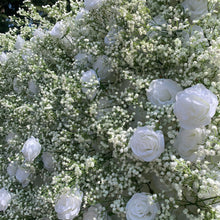 Load image into Gallery viewer, US Seller! 5D White Rose Baby Breaths Mix Roll Up Flower Wall On Cloth Fabric Wedding Party Photo Backdrop Top Quality N8821