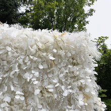 Load image into Gallery viewer, US Seller! 3D Roll Up Flower Wall On Cloth Fabric Wedding Party Photo Backdrop Bridal Shower Top Quality Easy Quick Assemble N8818
