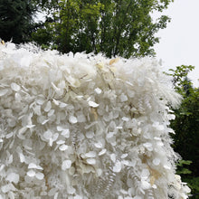 Load image into Gallery viewer, 3D Roll-Up Flower Wall Backdrop N8818