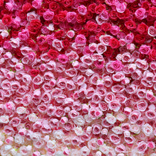 Load image into Gallery viewer, Dual Oriented 5D Roll-Up Flower Wall Backdrop 31