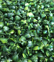 Load image into Gallery viewer, Greenery Hedge Wall Panels
