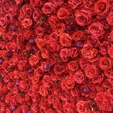 Load image into Gallery viewer, Red Rosy 3D Roll-Up Flower Wall Backdrop
