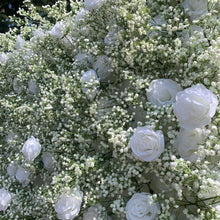 Load image into Gallery viewer, US Seller! 5D White Rose Baby Breaths Mix Roll Up Flower Wall On Cloth Fabric Wedding Party Photo Backdrop Top Quality N8821
