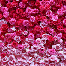Load image into Gallery viewer, Dual Oriented 5D Roll-Up Flower Wall Backdrop 31
