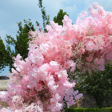 Load image into Gallery viewer, 8x8ft Foam Base Backing Pink April Flower Arch Wedding Backdrop Flower Archway Party Decor With Stand UN2
