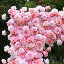 Load image into Gallery viewer, US Seller! 8x8ft Foam Base Backing Pink Rose Flower Arch Wedding Backdrop Flower Archway Party Decor w Stand SF20
