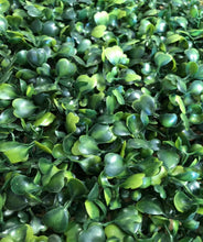 Load image into Gallery viewer, Boxwood Panel Greenery Wall Decor Artificial Hedge Backdrop for Wedding Party and Home
