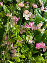 Load image into Gallery viewer, Floral Greenery Wall Panel with Hanging Vines, Photo Booth Backdrop
