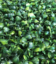 Load image into Gallery viewer, Dense Boxwood Panels: Artificial Greenery Wall Backdrop for Events
