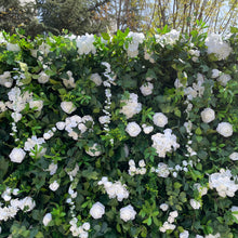Load image into Gallery viewer, Wedding Flower Wall Backdrop, Bridal Artificial Floral Wall Roll Up for Ceremony Photo Booth | 50% Return Refund Option
